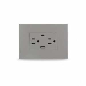 toma doble + 1 usb + 1 usbc gris